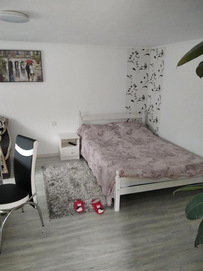 Dorna CindrenilorCasuta Bunicilor别墅 外观 照片