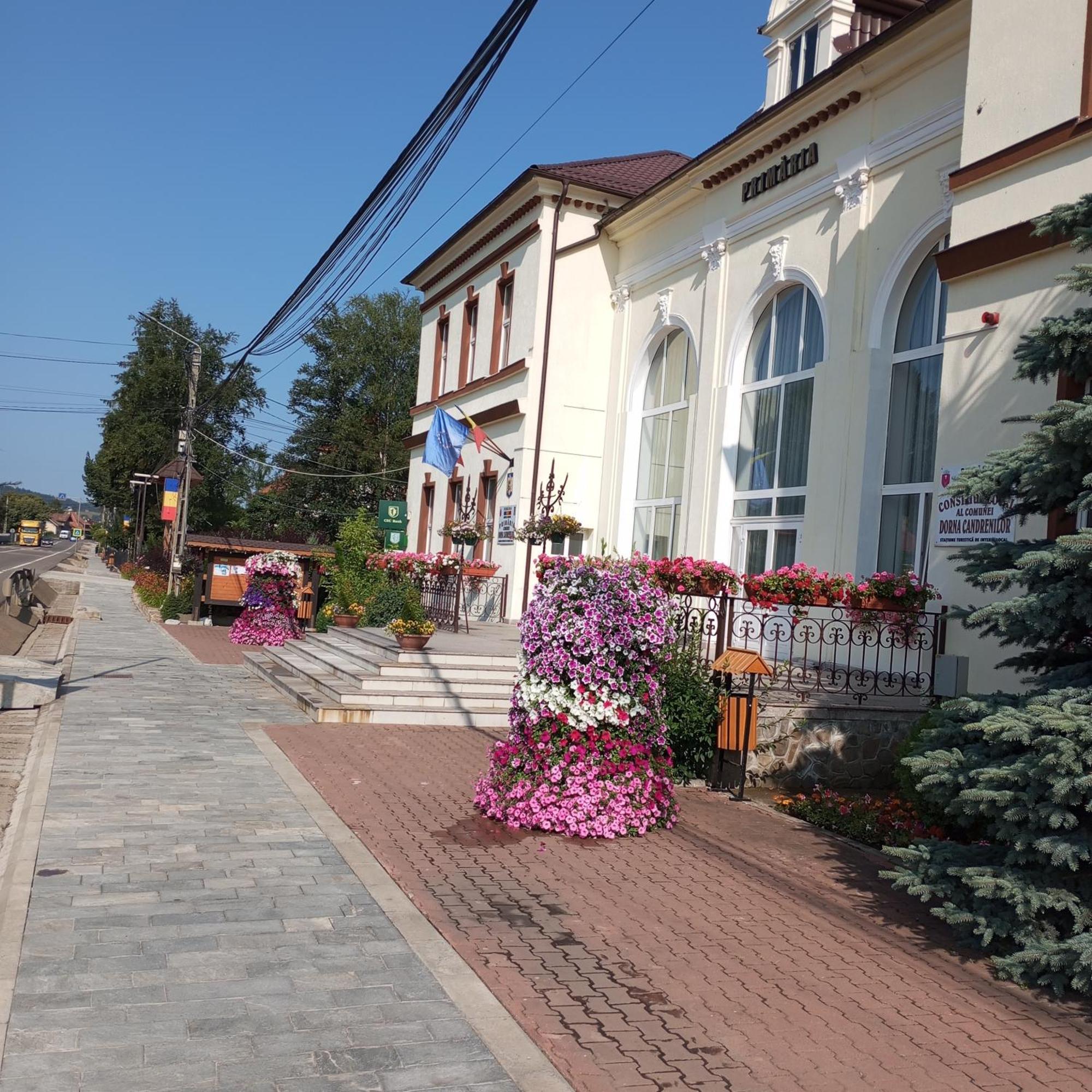 Dorna CindrenilorCasuta Bunicilor别墅 外观 照片